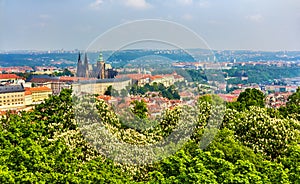 View of Prague Castle - Czech republic