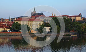 View of the Prague Castle with Saint Vitus Cathedral in the historic city center in Prague by the Vltava River with swimming swans