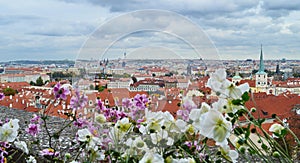 View of Prague, Czech Republic