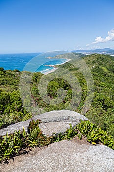 A view of Praia Mole Mole beach and Galheta  - popular beachs in Florianopolis, Brazil