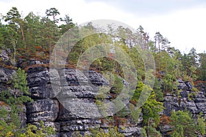 View from Pravcicka brana natural landscape