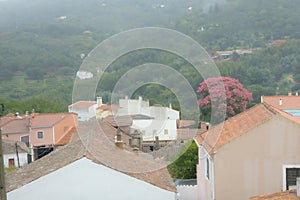 View of the pretty city of Monchique