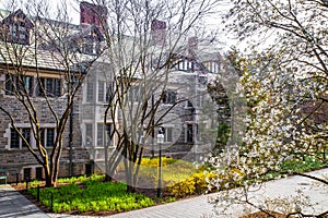 View of Princeton University campus dormitory vintage building