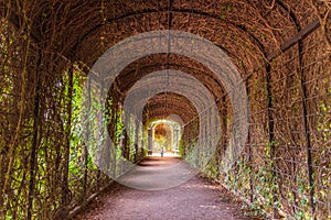 View from privy garden pavilion in majestic Schonbrunn palace, Vienna Austria