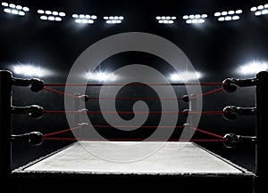 View of professional boxing rings