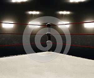 View of professional boxing rings