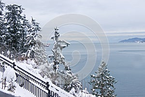 View of Prospect Point Lookout in Stanley Park in Vancouver.