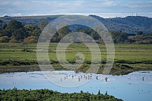 View of Pulborough Brooks in West Sussex