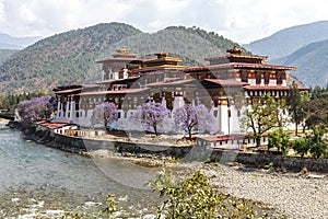 View at Punakha Dzong monastery and the landscape with the Mo Chhu river, Bhutan