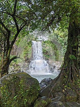 View of Pung bunga waterfall from rocks and trees