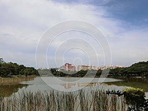 View of Punggol Park