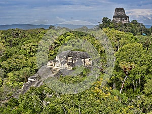 View from a pyramid height hidden in a dense forest. Nation`s most significant Mayan city of Tikal Park, Guatemala photo