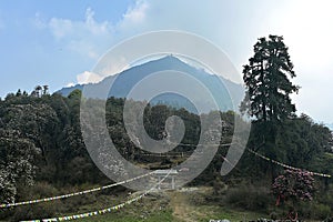 View of pyramidal Ama Yangri mountain peak rising above Jhumothang base camp, Sindhupalchok district, Nepal