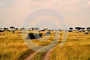 View of Queen Elizabeth National Park and the wonderful savanna