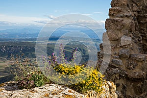 View of Queribus Cathar Castle Ruins and Aude Valley and Landscape on a Sunny Day in France