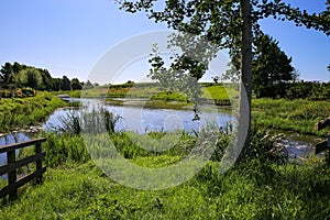 View on quiet peaceful place at dutch hiking trail with idyllic river wetland, lush green meadow and tree against deep blue