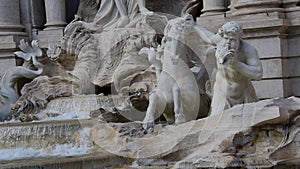 View of the quite horse on Trevi Fountain - HD - 60 fps