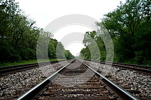 View of the railroad tracks with trees