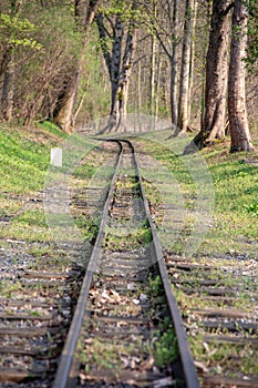 View of Railways of Miniature Park Railroad.at lake Auensee