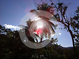 View in the Rainforest in Peru