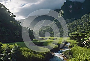 View of rainforest and river in Brazil with mountains and tropical humidity, lush jungle with beautiful sky view,