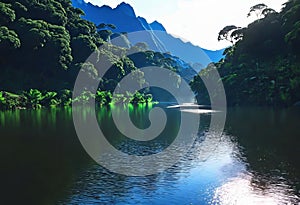 View of rainforest and river in Brazil with mountains and tropical humidity, lush jungle with beautiful sky view,