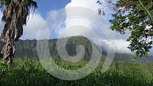 View of the rainforest and rocky mountain. Tropical Island Oahu Hawaii. Clear sunny day with white clouds on the blue