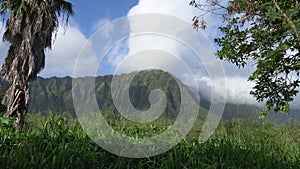 View of the rainforest and rocky mountain. Tropical Island Oahu Hawaii. Clear sunny day with white clouds on the blue