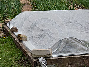 View of the raised vegetable bed covered with white agricultural film hold in place with bricks in the home garden. Agricultural