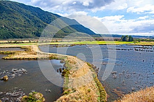 The view of Rakatu Wetlands in the South Island of New Zealand.