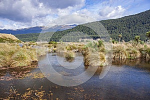 The view of Rakatu Wetlands in the South Island of New Zealand.