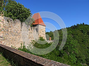 View from rampart of medieval castle Zvikov photo