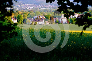 View of the rapeseed fields and the small German town of Bad Pyrmont