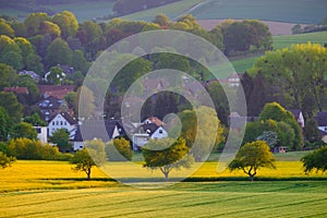 View of the rapeseed fields and the small German town of Bad Pyrmont