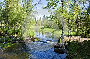 View of the rapids and forest, Akasmylly, Muonio, Finland