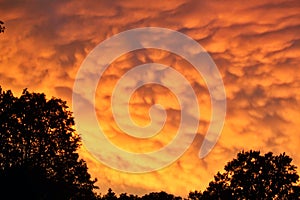 Rare Mammatus Clouds shine brilliant orange after a Storm in the Midwest during Summer