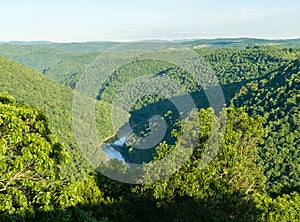 View from Raven Rock in Coopers Rock State Forest WV