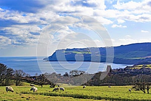 View of Ravenscar 2 from Robin Hood`s Bay, Old Town, North Yorkshire.