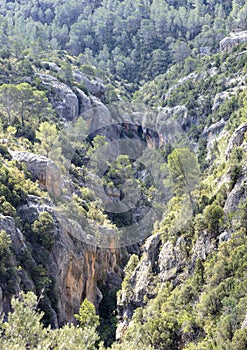 View of the ravine