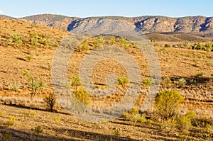 View from Rawnsley Lookout - Flinders Ranges