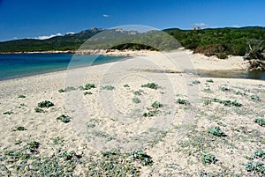 View of Razza di Junco beach, Costa Smeralda photo