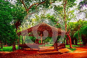 View of the red colored cottage in the midst of greenery in the garden photo