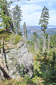 View from the red hiking trail in the Stolowe Mountains, Poland