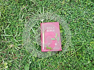 A view of a red holy bible and a green pen on a cover of Desmodium triflorum (Undupiyaiya) in a garden in Sri Lanka.