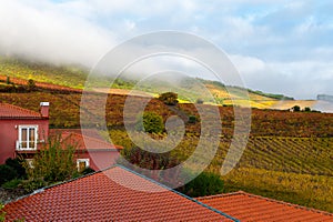 View on red house in Douro river valley and colorful hilly stair step terraced vineyards in autumn, wine making industry in