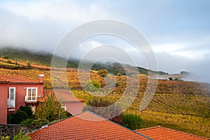 View on red house in Douro river valley and colorful hilly stair step terraced vineyards in autumn, wine making industry in