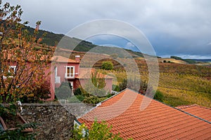 View on red house in Douro river valley and colorful hilly stair step terraced vineyards in autumn, wine making industry in