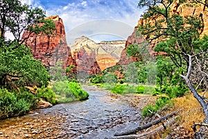 Red peaks of Zion National Park along the Virgin River, Utah, USA photo