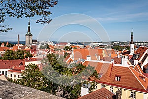 View of the red rooftops of Old Tallinn Town, Estonia, view from above, against blue skyline