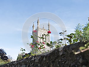 View of red roses, stone wall. Clock tower and blue sky in the background.